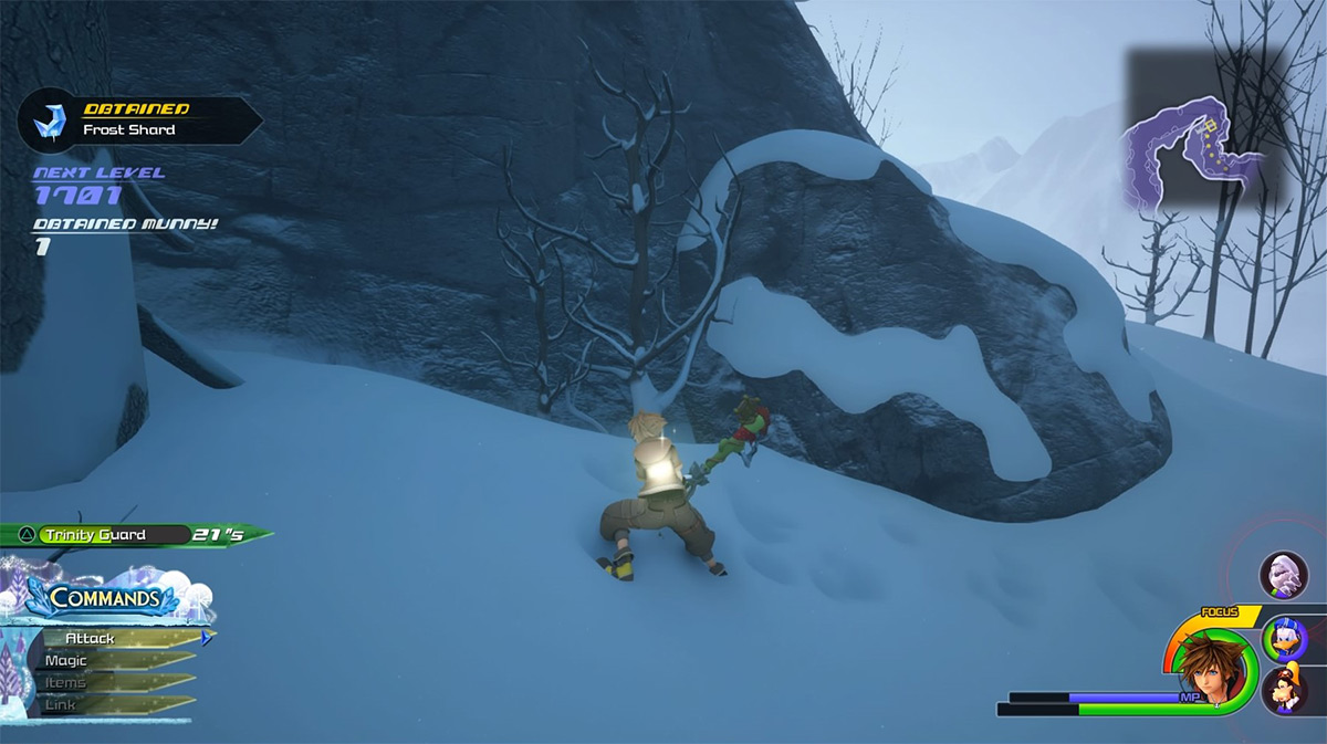 Destroying bushes can give Frost Shards / Kingdom Hearts 3