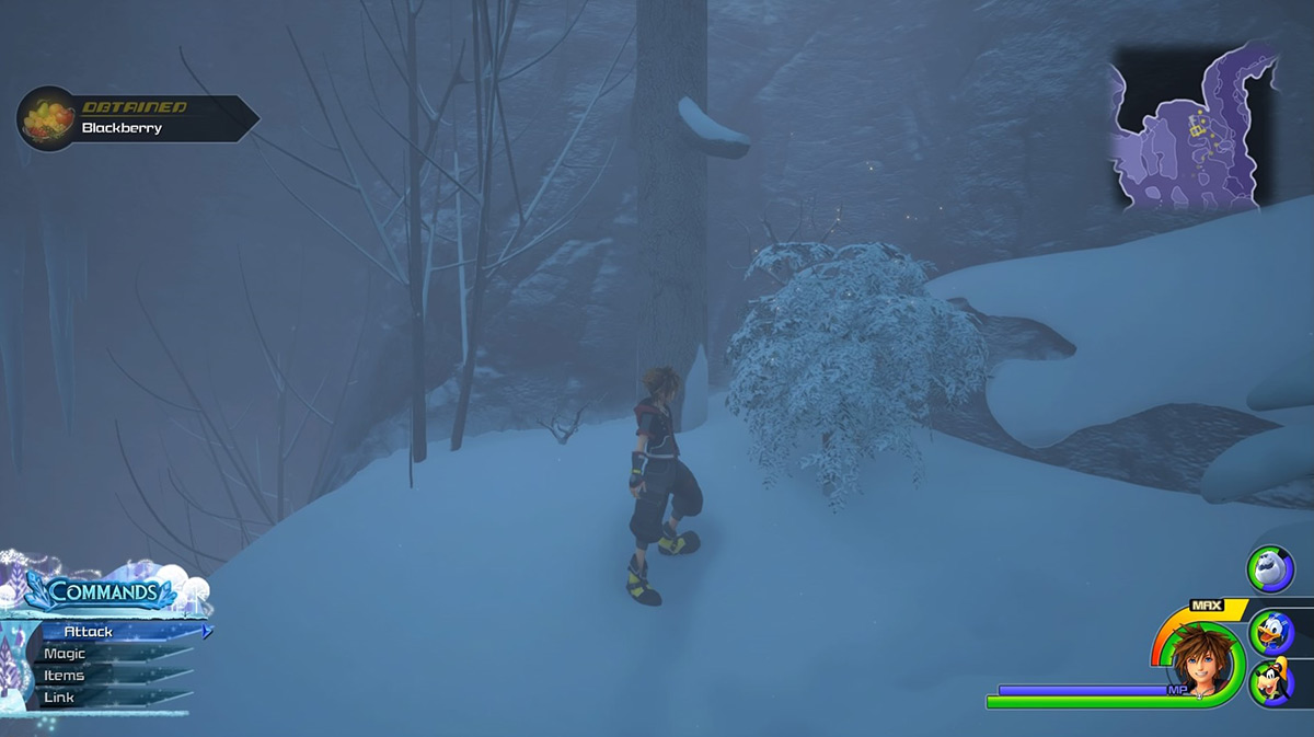 Examine the fruit bearing bush to obtain Blackberries / Kingdom Hearts 3