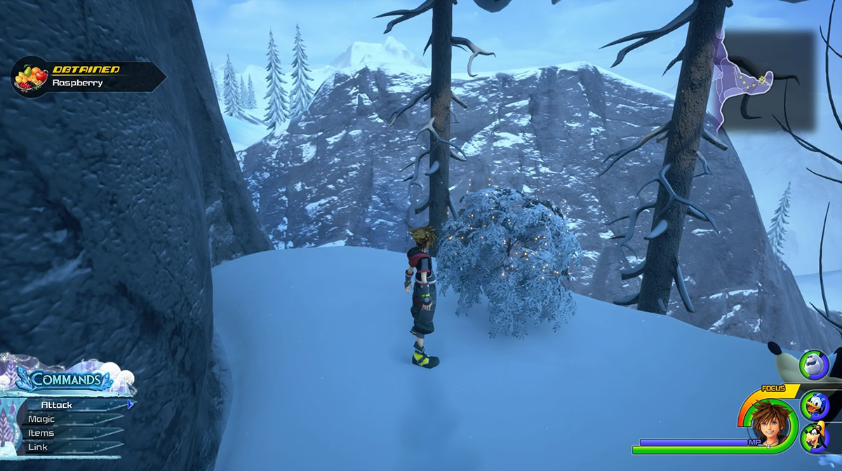 The leafy bush north of the Gorge save point gives Raspberries / Kingdom Hearts 3