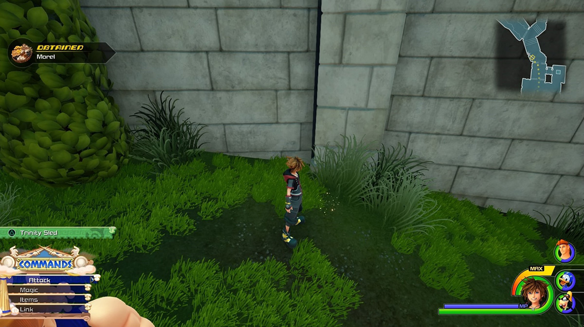 The Morel spot in the Gardens spawns randomly / Kingdom Hearts 3