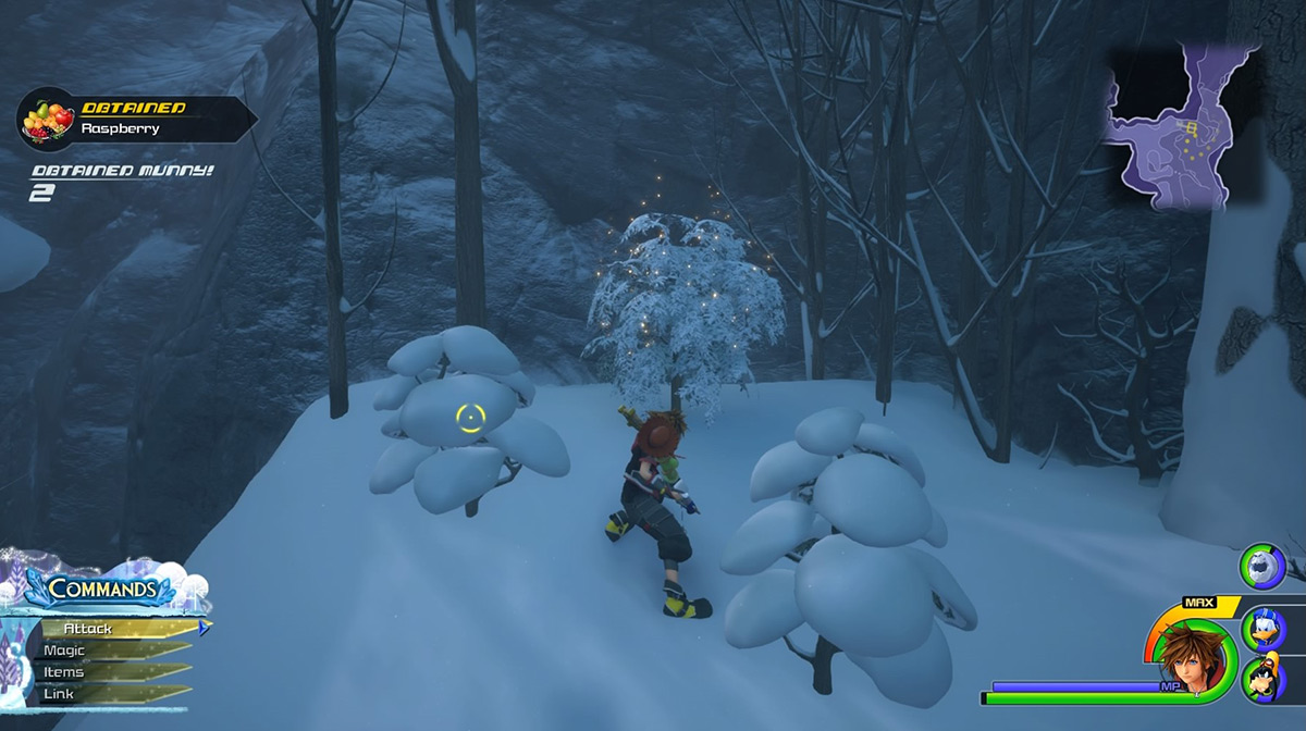 The bush at the southwestern end of the Valley of Ice gives Raspberries / Kingdom Hearts 3