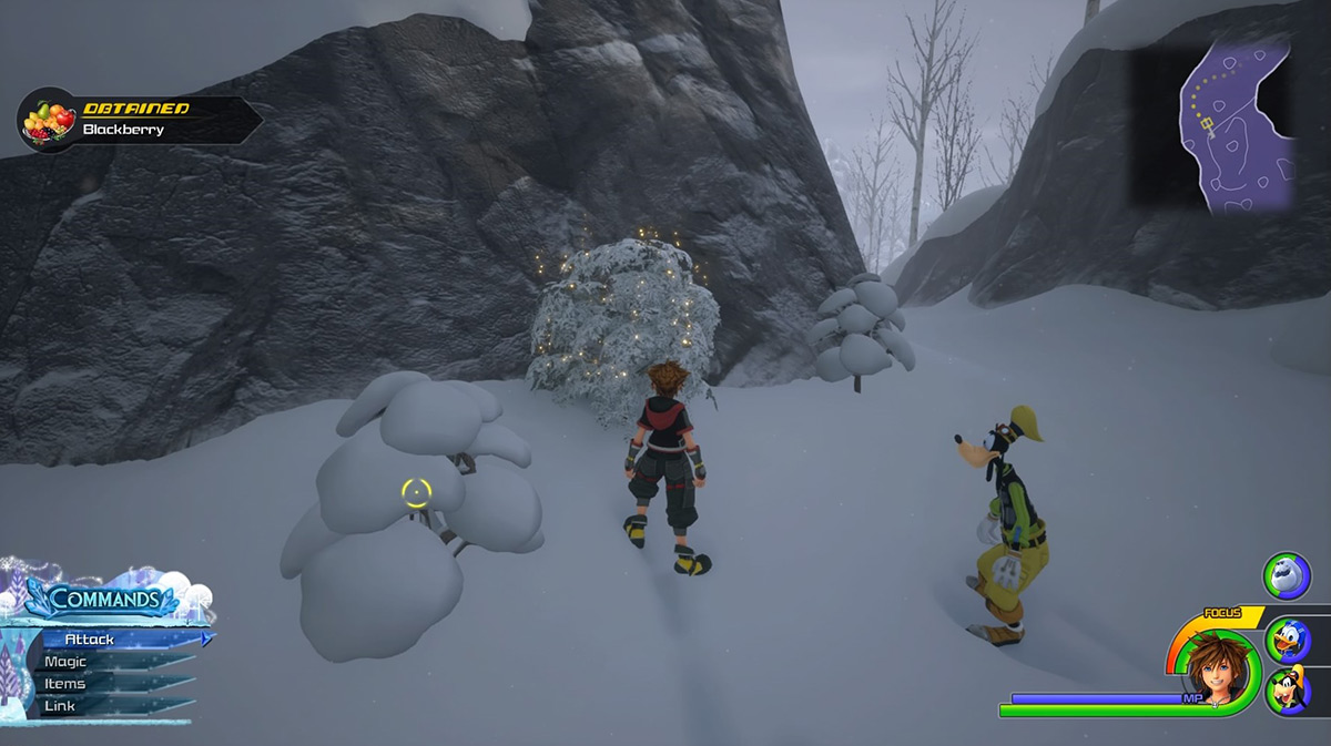 There’s a bush in the Foothills area that gives Blackberries / Kingdom Hearts 3