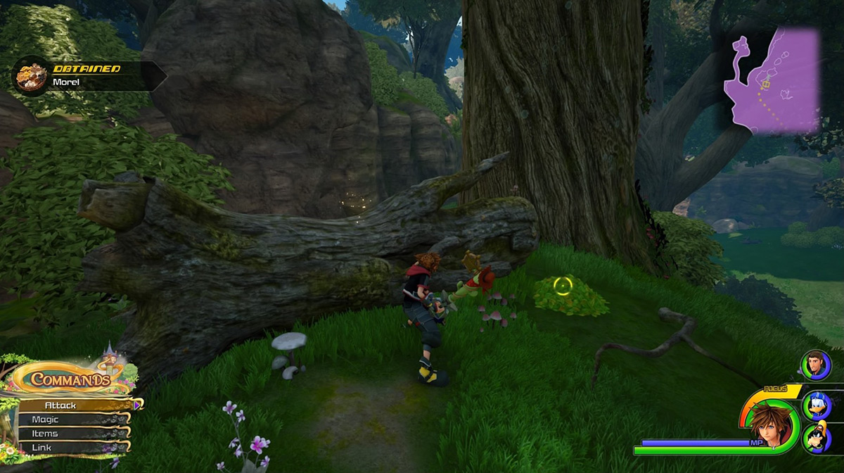 Check the fallen bark west of the hills save point to find Morel / Kingdom Hearts 3