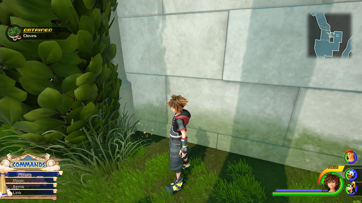 Find Cloves from the herb spots in the Gardens / Kingdom Hearts 3