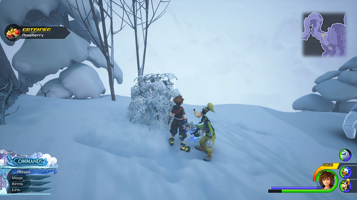 The leafy bush east of the Frozen Wall always gives Raspberries / Kingdom Hearts 3