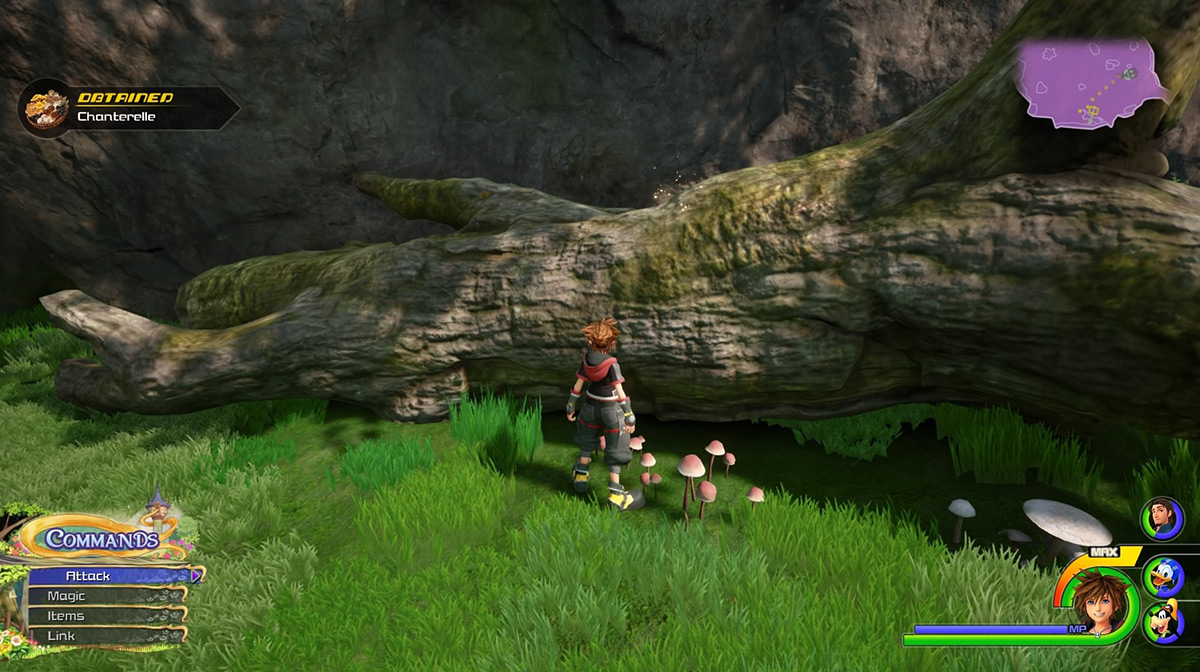 Obtain Chanterelle from the mushrooms growing over a log in the Hills area / Kingdom Hearts 3