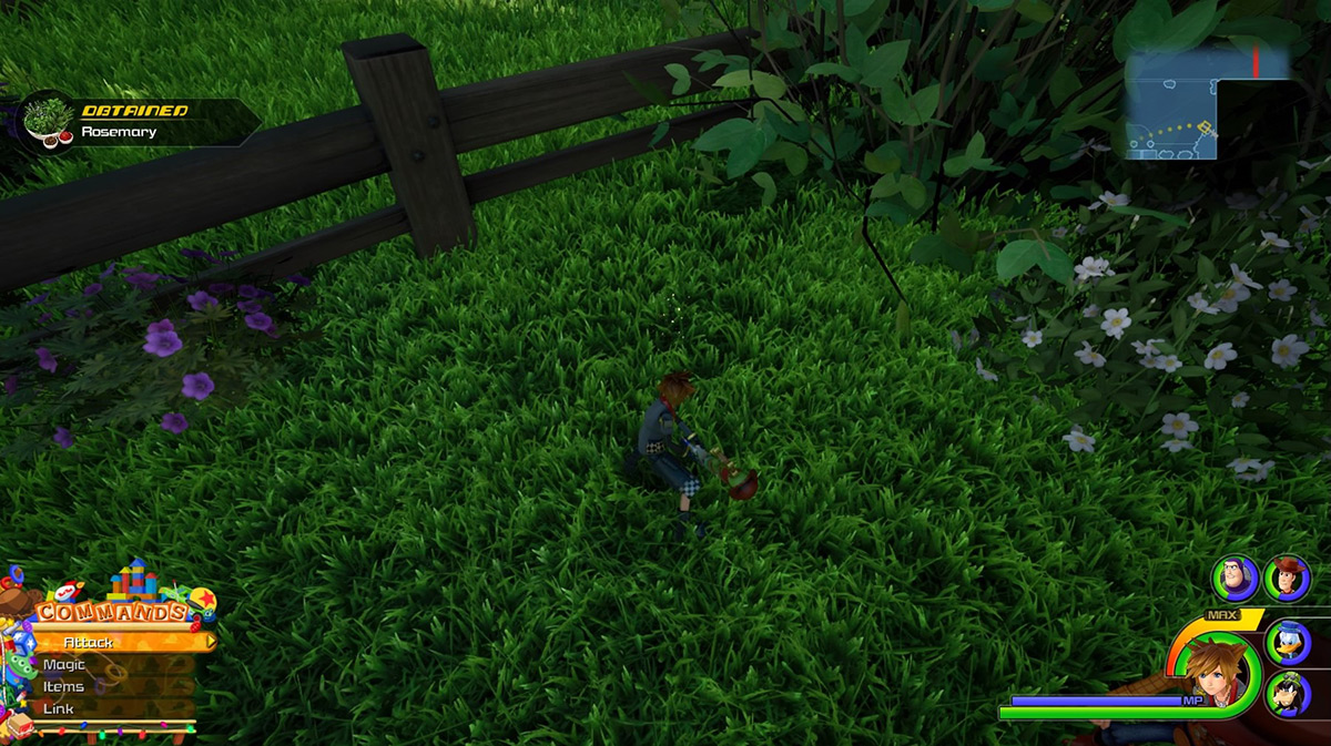 Search under the fence to the east to find Rosemary / Kingdom Hearts 3