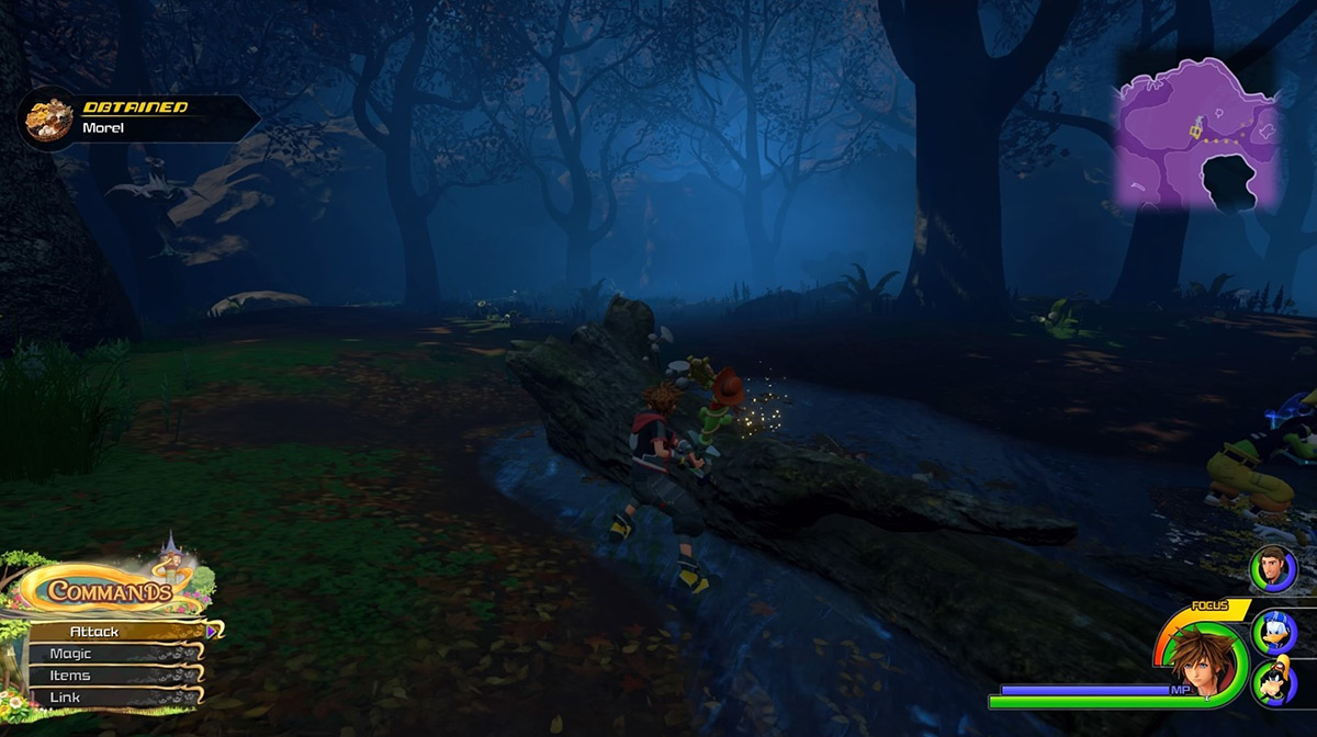 The mushroom spot northeast of the Marsh always gives Morel / Kingdom Hearts 3