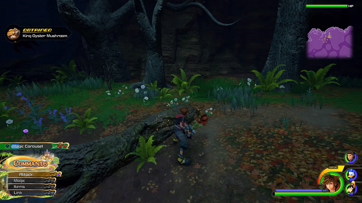 There are more King Oyster Mushrooms north of the Marsh / Kingdom Hearts 3