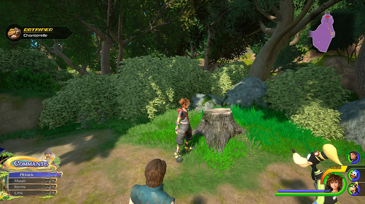 Find Chanterelle on the eastern edge of the Shore area / Kingdom Hearts 3