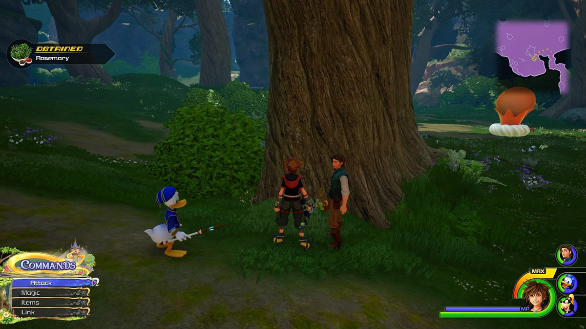 Search under the giant tree near the Hills entrance to find Rosemary / Kingdom Hearts 3