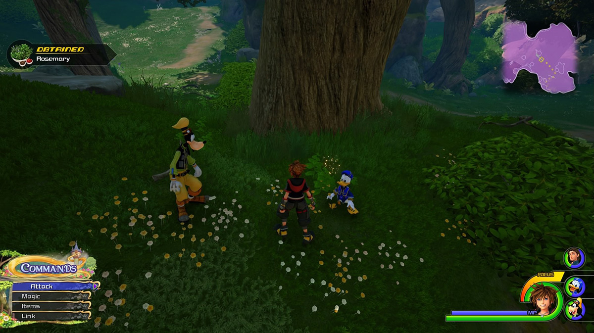 Check the tree at the center of the area for more Rosemary / Kingdom Hearts 3