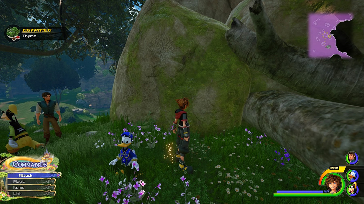 Check the herb spots near the Hills save point to find Thyme / Kingdom Hearts 3