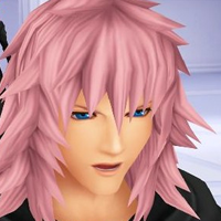 Marluxia Chain of Memories